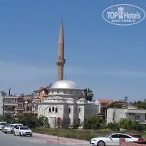 фото из отзыва ID 2193431