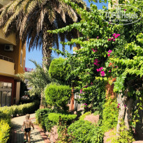 фото из отзыва ID 2193448