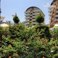 фото из отзыва ID 2193448