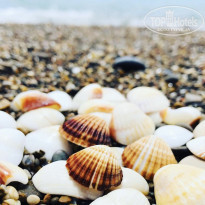 фото из отзыва ID 2193410