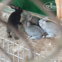 фото из отзыва ID 2193803