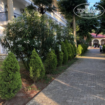 фото из отзыва ID 2193816