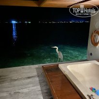 фото из отзыва ID 2193912