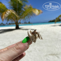 фото из отзыва ID 2193912