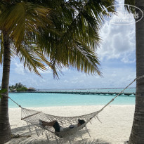 фото из отзыва ID 2193912