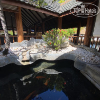 фото из отзыва ID 2193912