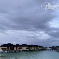 фото из отзыва ID 2193912