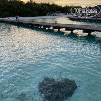 фото из отзыва ID 2193912