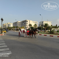 фото из отзыва ID 2193954