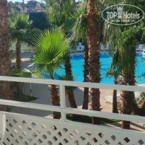 фото из отзыва ID 2194116