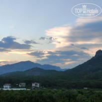 фото из отзыва ID 2194116