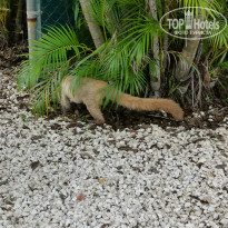 фото из отзыва ID 2194165