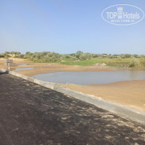 фото из отзыва ID 2194228