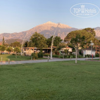 фото из отзыва ID 2194238