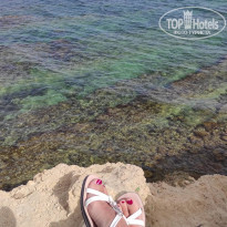 фото из отзыва ID 2191207