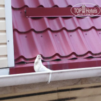 фото из отзыва ID 2194459