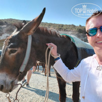 фото из отзыва ID 2194473