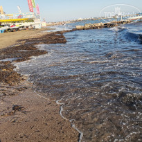 фото из отзыва ID 2194511