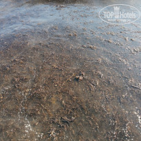 фото из отзыва ID 2194511