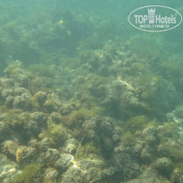 фото из отзыва ID 2194511