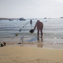 фото из отзыва ID 2194539