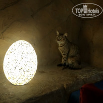 фото из отзыва ID 2194539