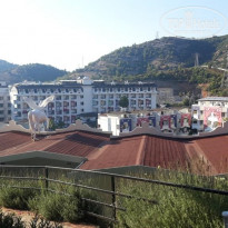 фото из отзыва ID 2194635