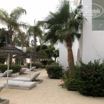 фото из отзыва ID 2194729