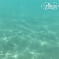 фото из отзыва ID 2194652