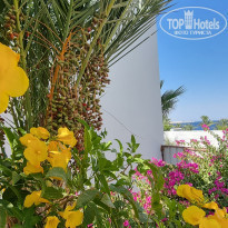 фото из отзыва ID 2195086