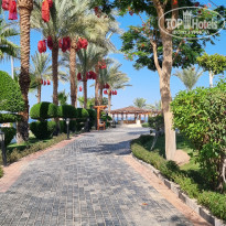 фото из отзыва ID 2195086