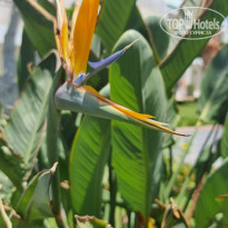 фото из отзыва ID 2195086