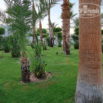 фото из отзыва ID 2195086