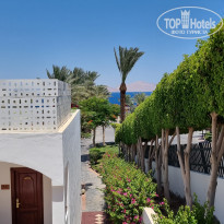 фото из отзыва ID 2195086