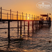 фото из отзыва ID 2195086