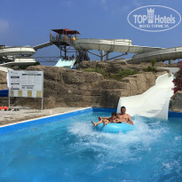 фото из отзыва ID 2195106