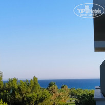 фото из отзыва ID 2195145