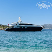 фото из отзыва ID 2195180