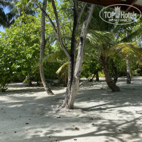 фото из отзыва ID 2195201