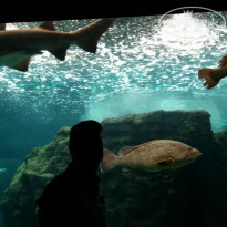 фото из отзыва ID 2195228