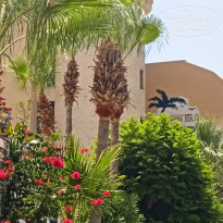 фото из отзыва ID 2195486