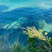 фото из отзыва ID 2195571