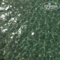 фото из отзыва ID 2195571