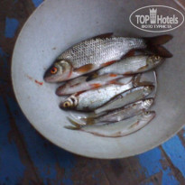 фото из отзыва ID 2195583