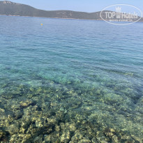 фото из отзыва ID 2195700