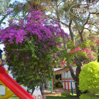 фото из отзыва ID 2195709