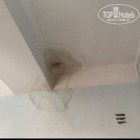 фото из отзыва ID 2195772