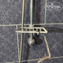 фото из отзыва ID 2195894