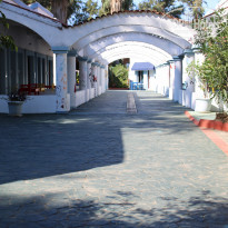 фото из отзыва ID 2195248