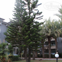 фото из отзыва ID 2195248